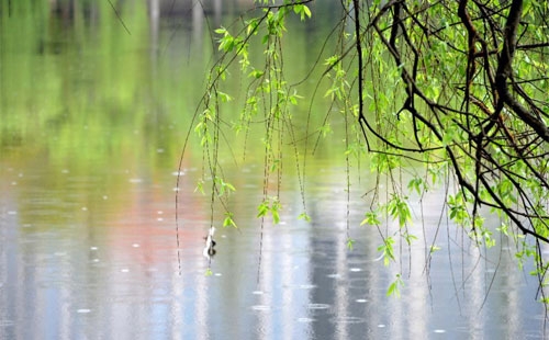 雨季施工新挑战：恺久建设工程的应对策略